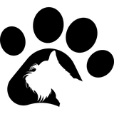FW Communication